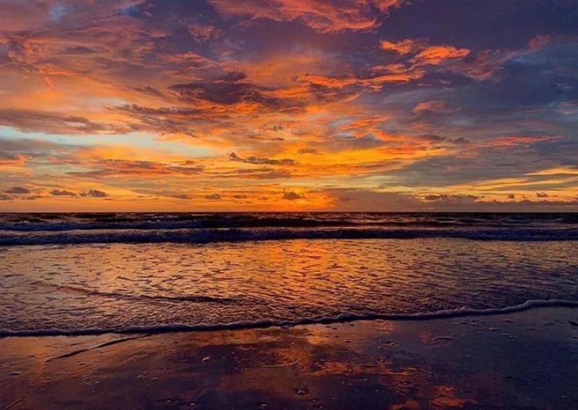 Private Room In A 2 Bedroom 1 Bathroom Shared With Host, On The Beach, Surrounded By Resorts, Only 2 People Max St. Pete Beach Exteriér fotografie